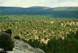 Sierra de la Demanda